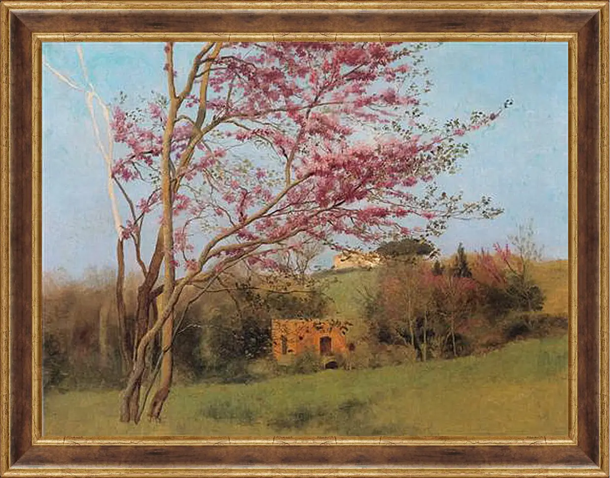 Картина в раме - Blossoming Red Almond, study. Джон Уильям Годвард