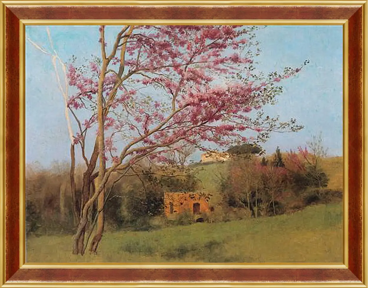 Картина в раме - Blossoming Red Almond, study. Джон Уильям Годвард
