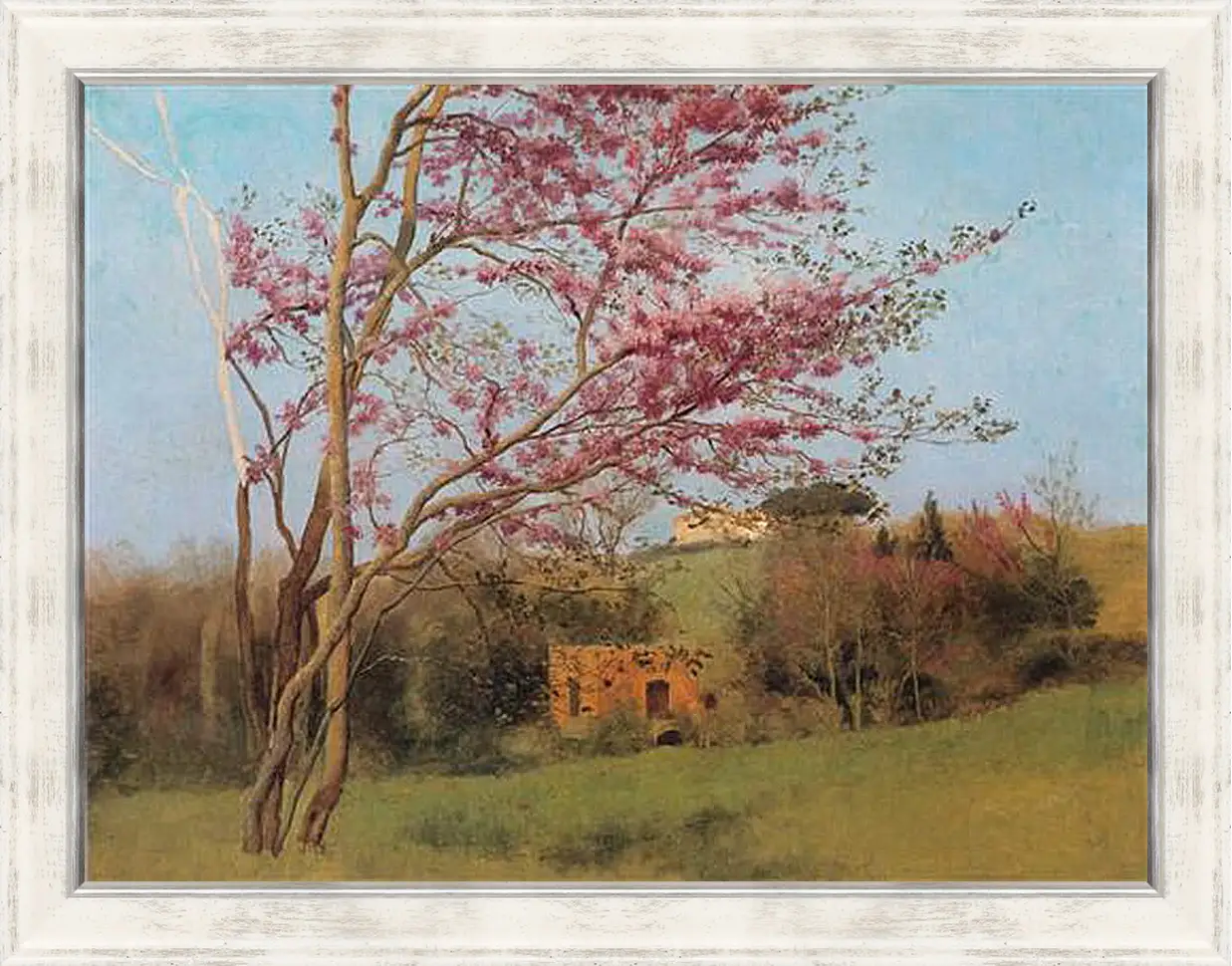 Картина в раме - Blossoming Red Almond, study. Джон Уильям Годвард
