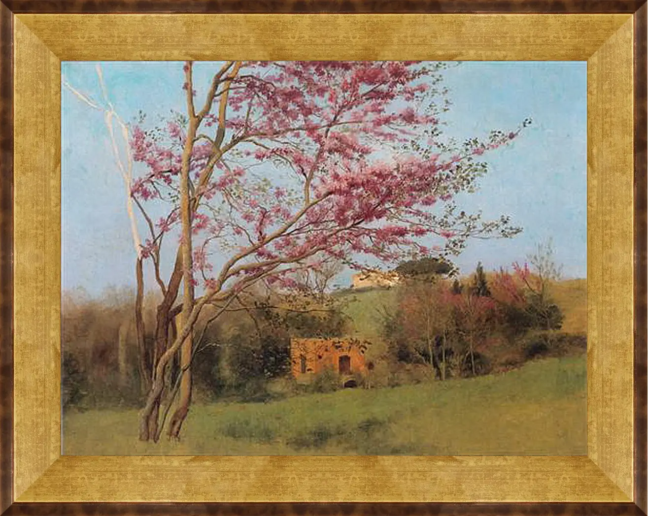 Картина в раме - Blossoming Red Almond, study. Джон Уильям Годвард