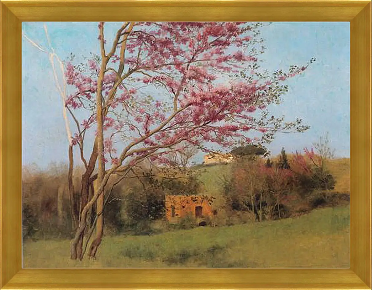 Картина в раме - Blossoming Red Almond, study. Джон Уильям Годвард