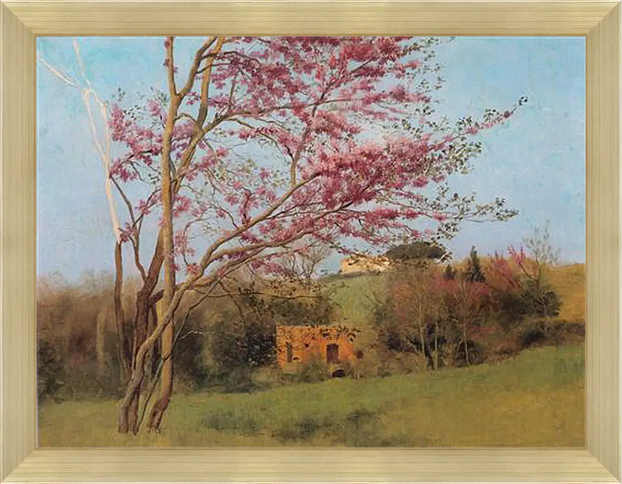 Картина в раме - Blossoming Red Almond, study. Джон Уильям Годвард
