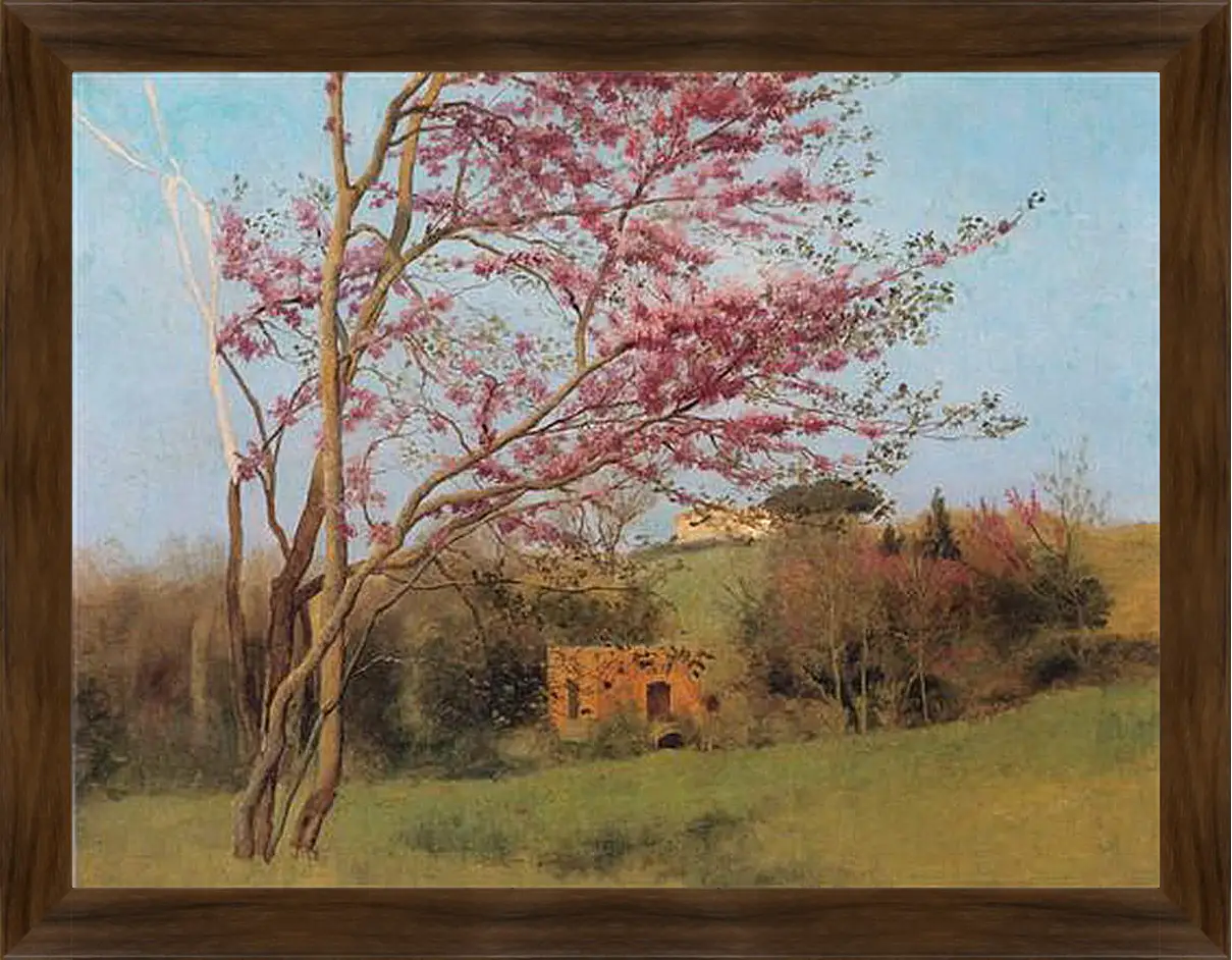Картина в раме - Blossoming Red Almond, study. Джон Уильям Годвард