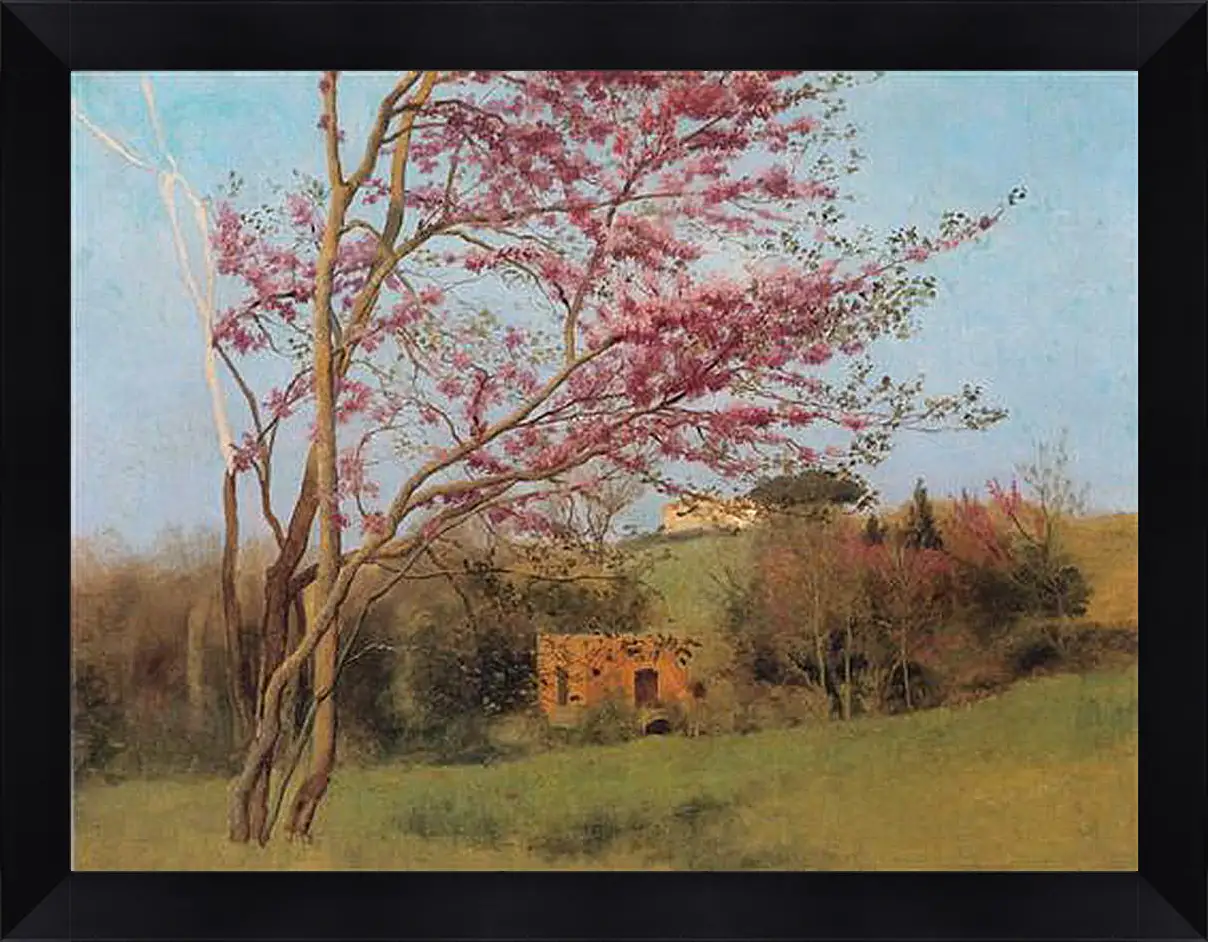 Картина в раме - Blossoming Red Almond, study. Джон Уильям Годвард