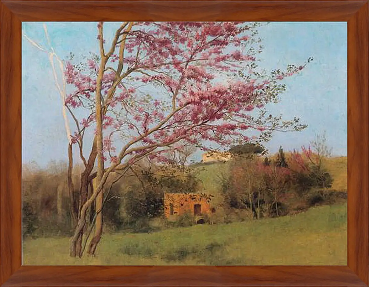 Картина в раме - Blossoming Red Almond, study. Джон Уильям Годвард