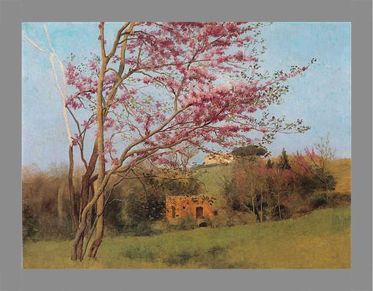 Картина в раме - Blossoming Red Almond, study. Джон Уильям Годвард

