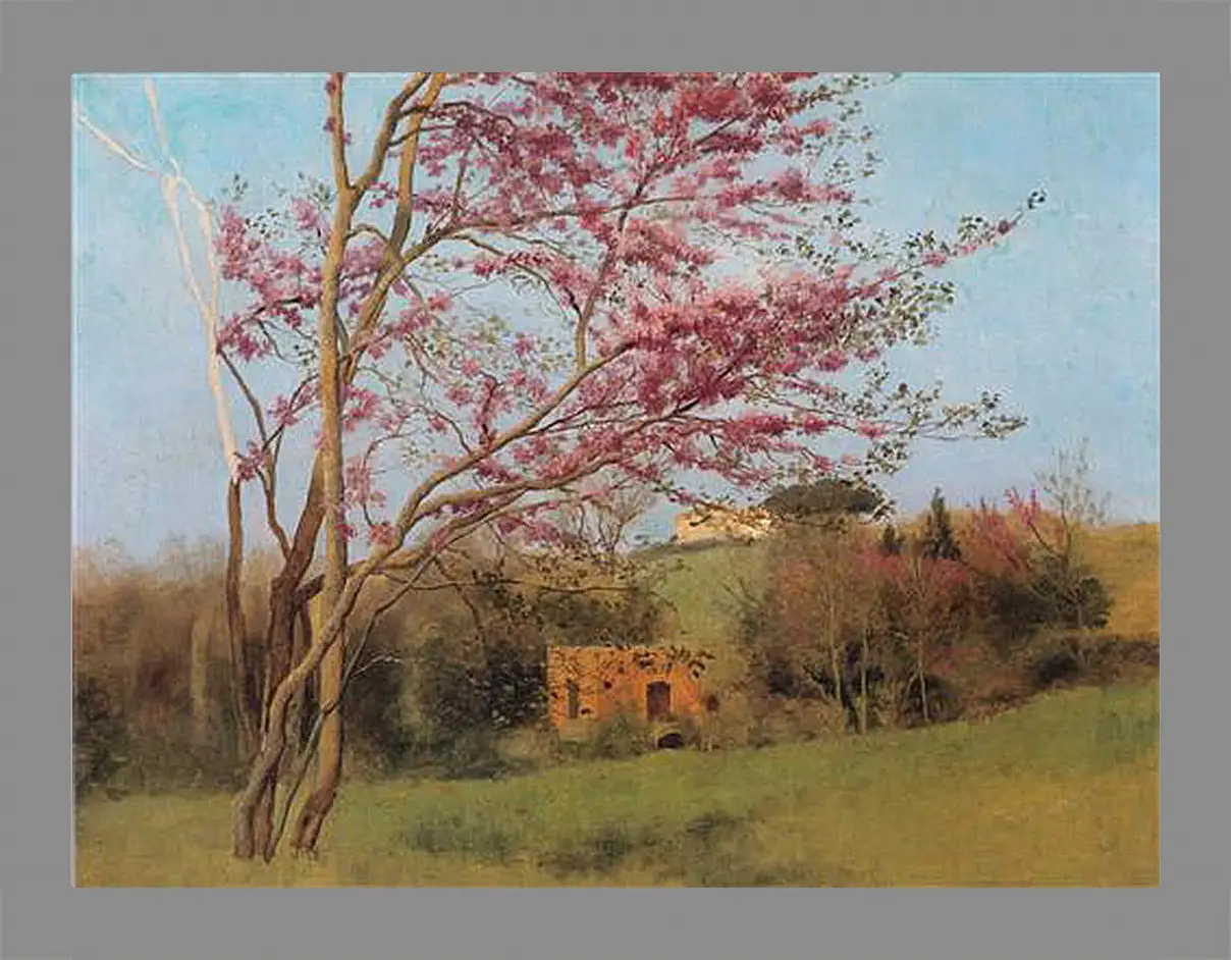 Картина в раме - Blossoming Red Almond, study. Джон Уильям Годвард