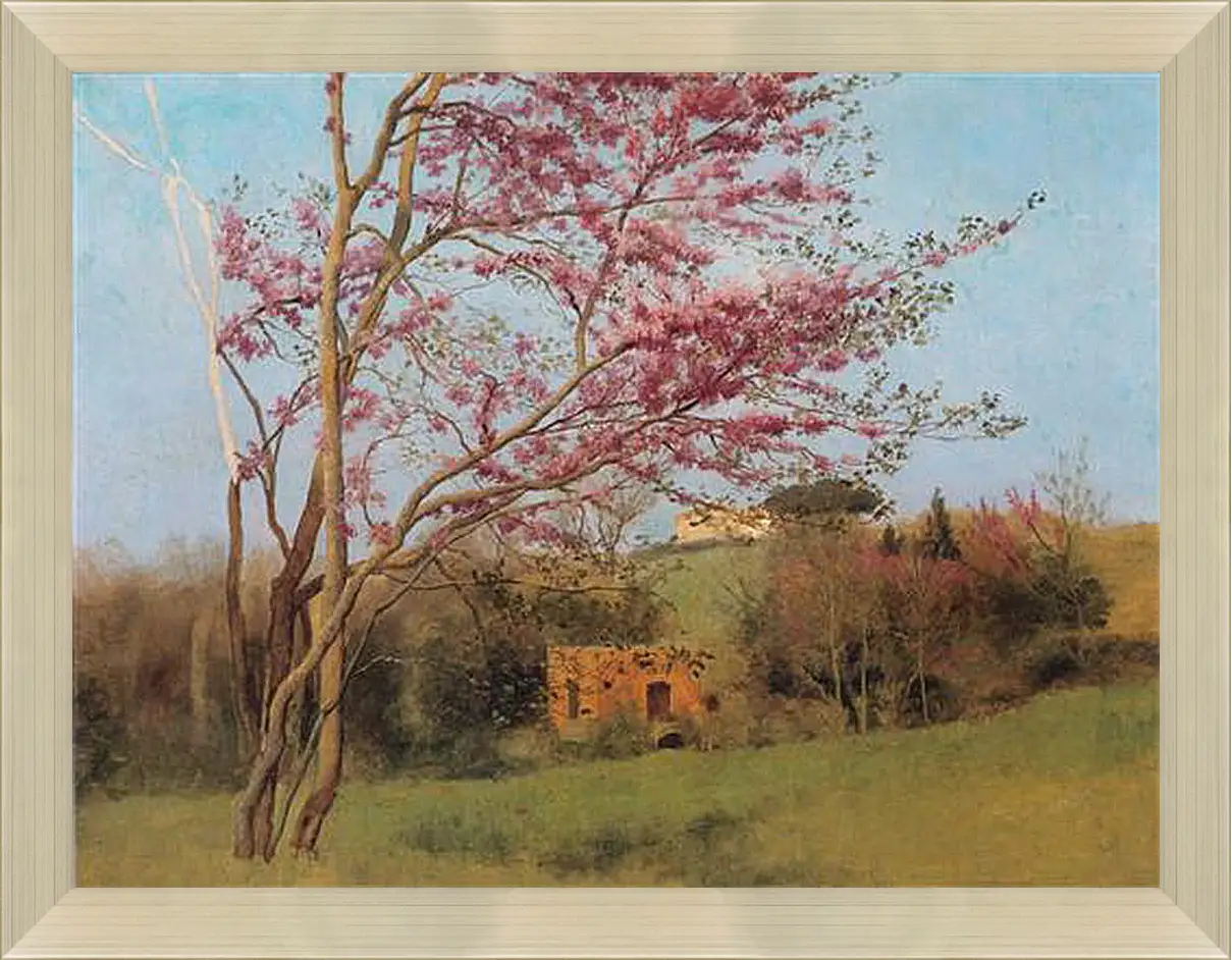 Картина в раме - Blossoming Red Almond, study. Джон Уильям Годвард