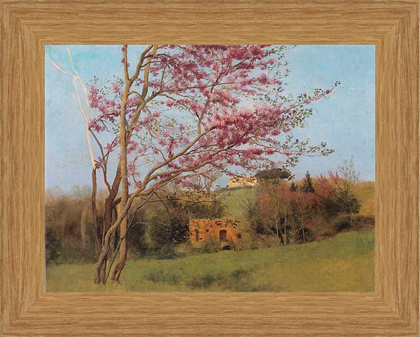 Картина в раме - Blossoming Red Almond, study. Джон Уильям Годвард