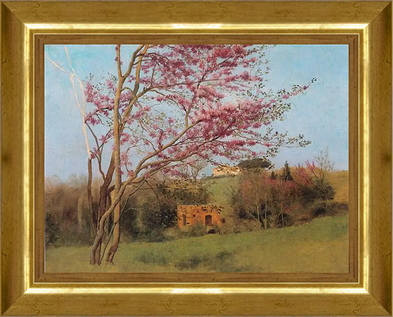 Картина в раме - Blossoming Red Almond, study. Джон Уильям Годвард