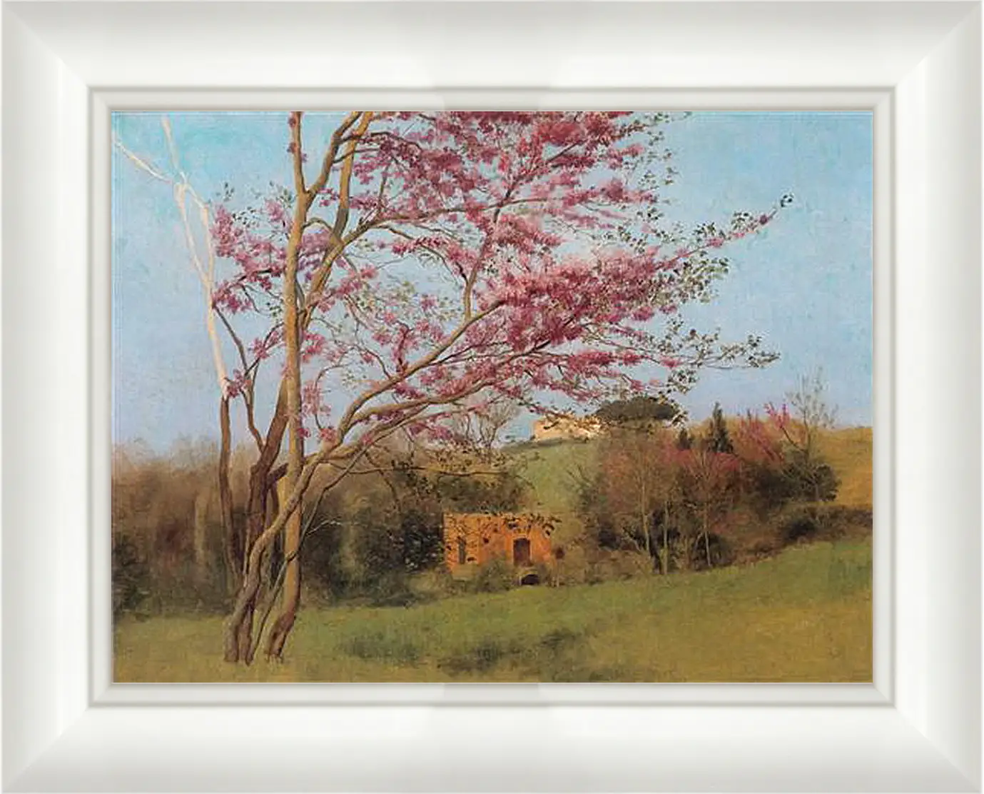 Картина в раме - Blossoming Red Almond, study. Джон Уильям Годвард