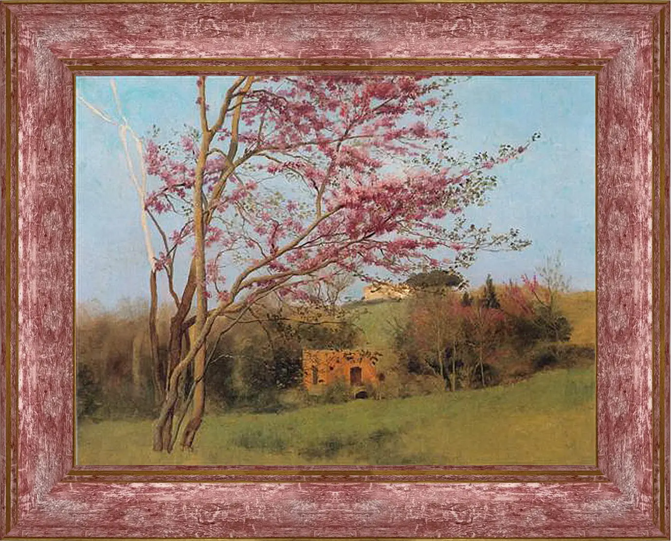Картина в раме - Blossoming Red Almond, study. Джон Уильям Годвард