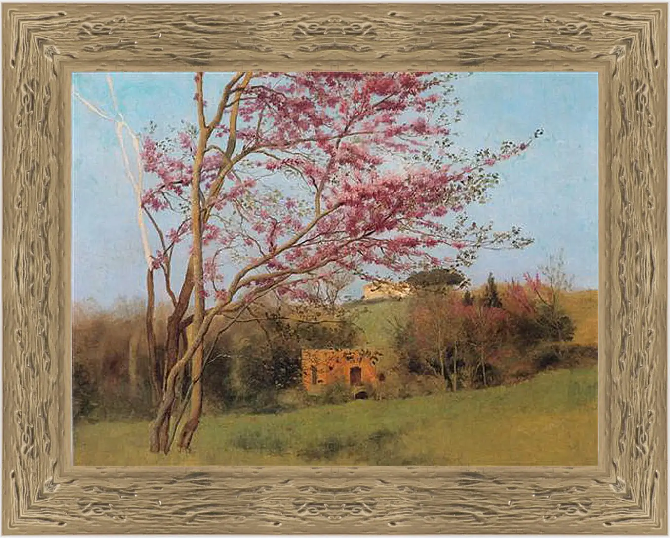 Картина в раме - Blossoming Red Almond, study. Джон Уильям Годвард