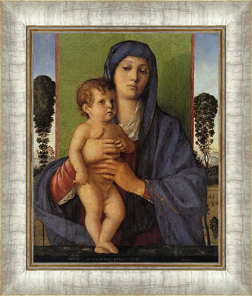 Картина в раме - Madonna degli Alberetti. Джованни Беллини