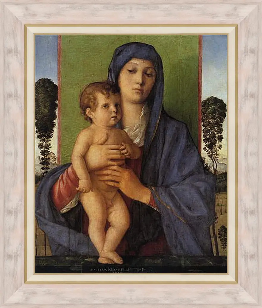 Картина в раме - Madonna degli Alberetti. Джованни Беллини