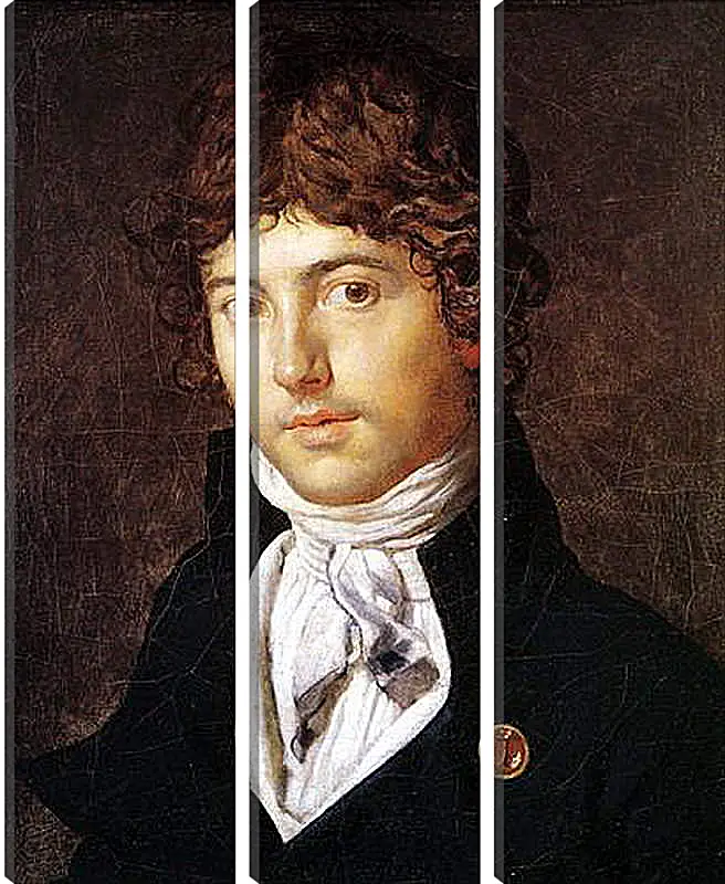 Модульная картина - Portrait of Pierre Francois Bernier. Жан Огюст Доминик Энгр
