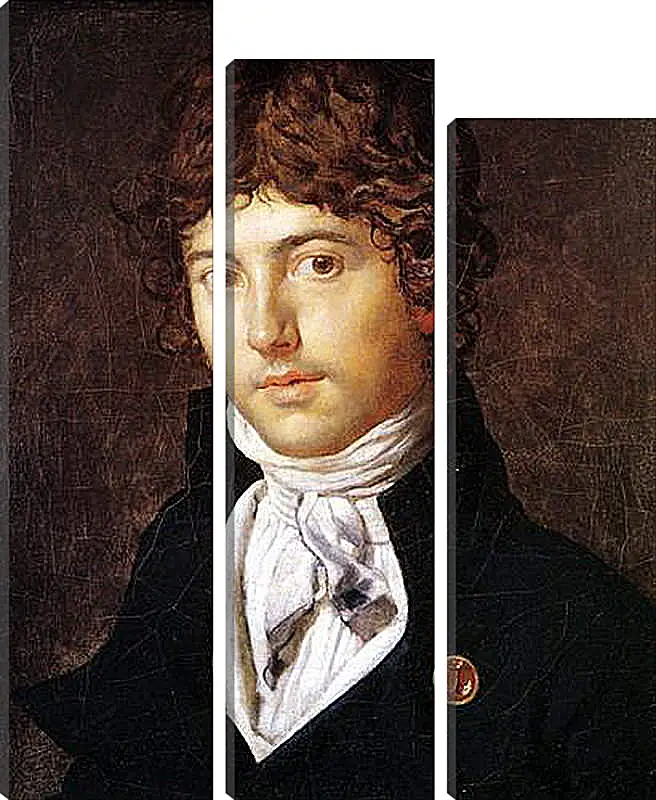 Модульная картина - Portrait of Pierre Francois Bernier. Жан Огюст Доминик Энгр
