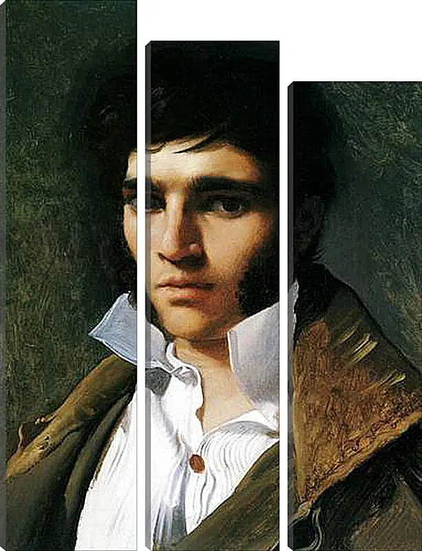 Модульная картина - Portrait of Paul Lemoyne. Жан Огюст Доминик Энгр