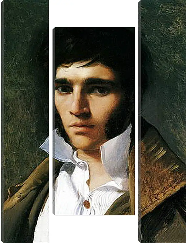 Модульная картина - Portrait of Paul Lemoyne. Жан Огюст Доминик Энгр
