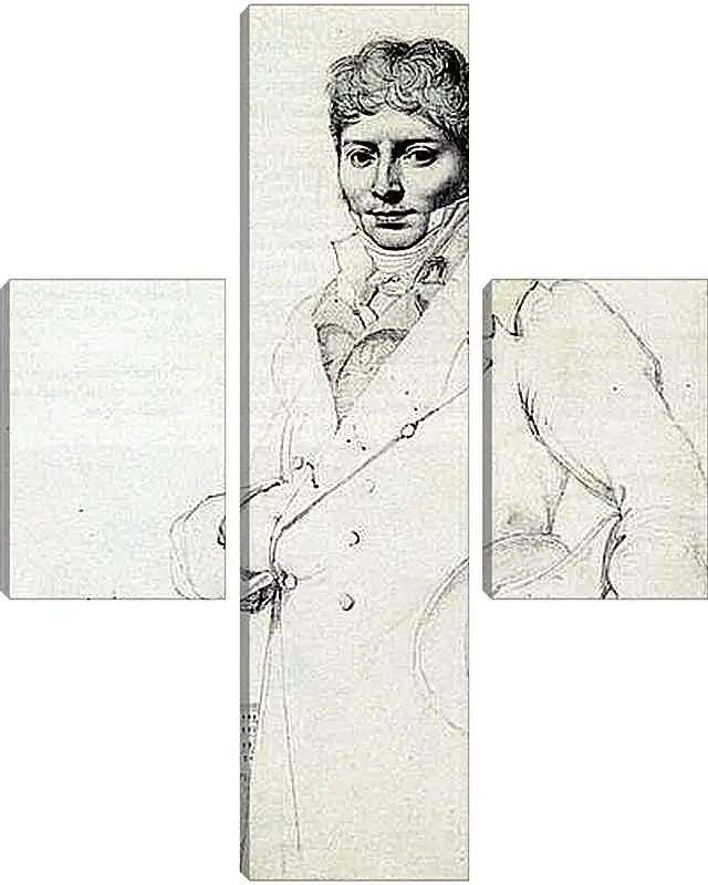 Модульная картина - Portrait of Dr. Jean Louis Robin. Жан Огюст Доминик Энгр
