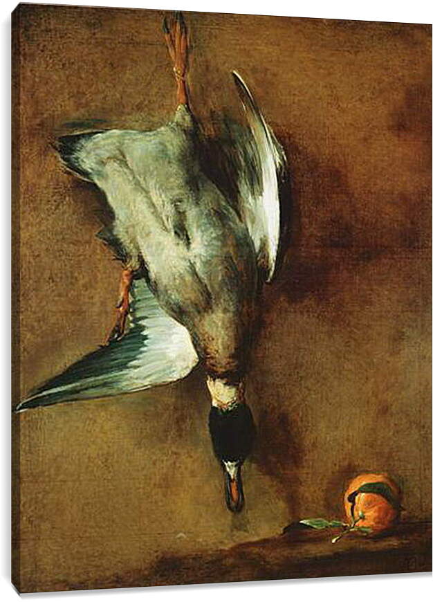 Постер и плакат - Un canard col-vert attache a la muraille et une bigarade. Жан Батист Симеон Шарден
