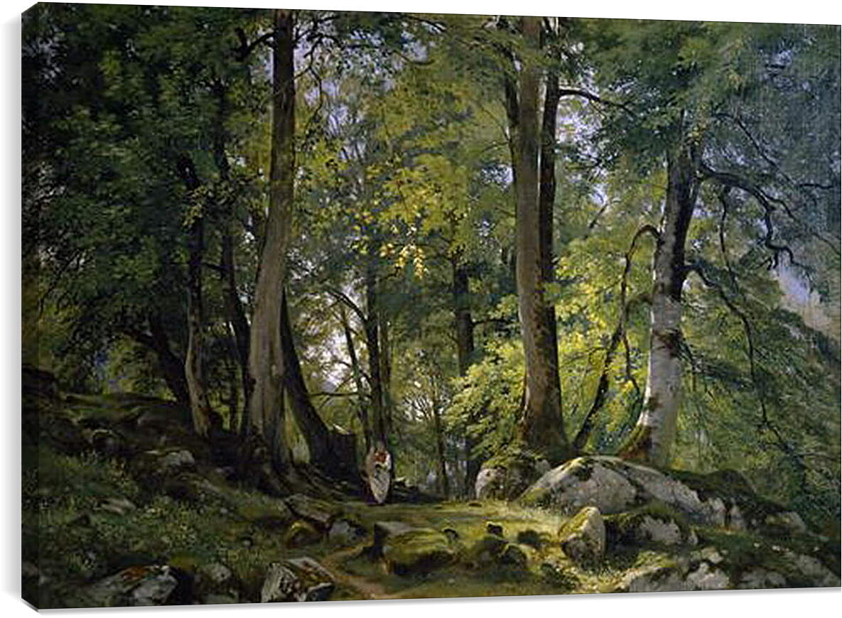 Постер и плакат - Буковый лес в Швейцарии. Иван Шишкин
