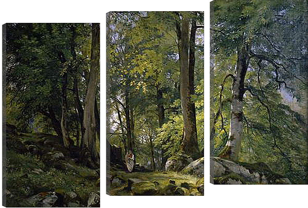 Модульная картина - Буковый лес в Швейцарии. Иван Шишкин
