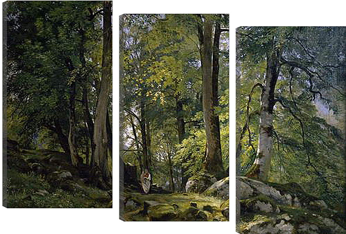 Модульная картина - Буковый лес в Швейцарии. Иван Шишкин
