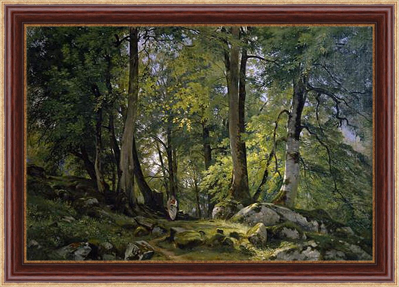 Картина в раме - Буковый лес в Швейцарии. Иван Шишкин
