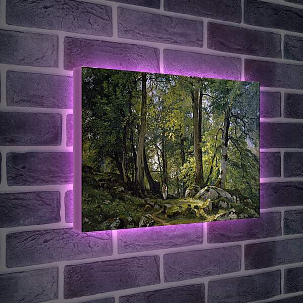 Лайтбокс световая панель - Буковый лес в Швейцарии. Иван Шишкин
