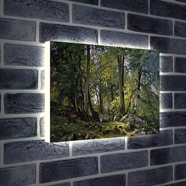 Лайтбокс световая панель - Буковый лес в Швейцарии. Иван Шишкин
