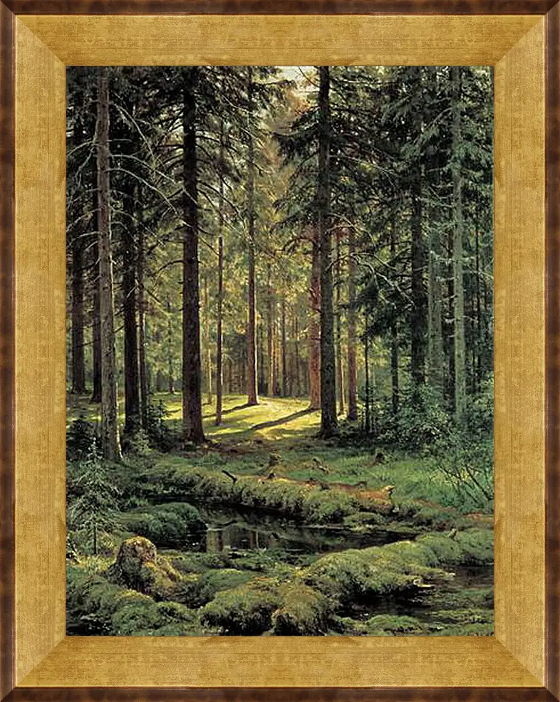 Картина в раме - Хвойный лес. Солнечный день. Иван Шишкин