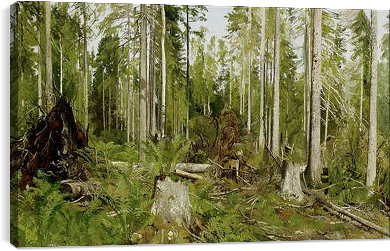Постер и плакат - Сосновый лес. Иван Шишкин
