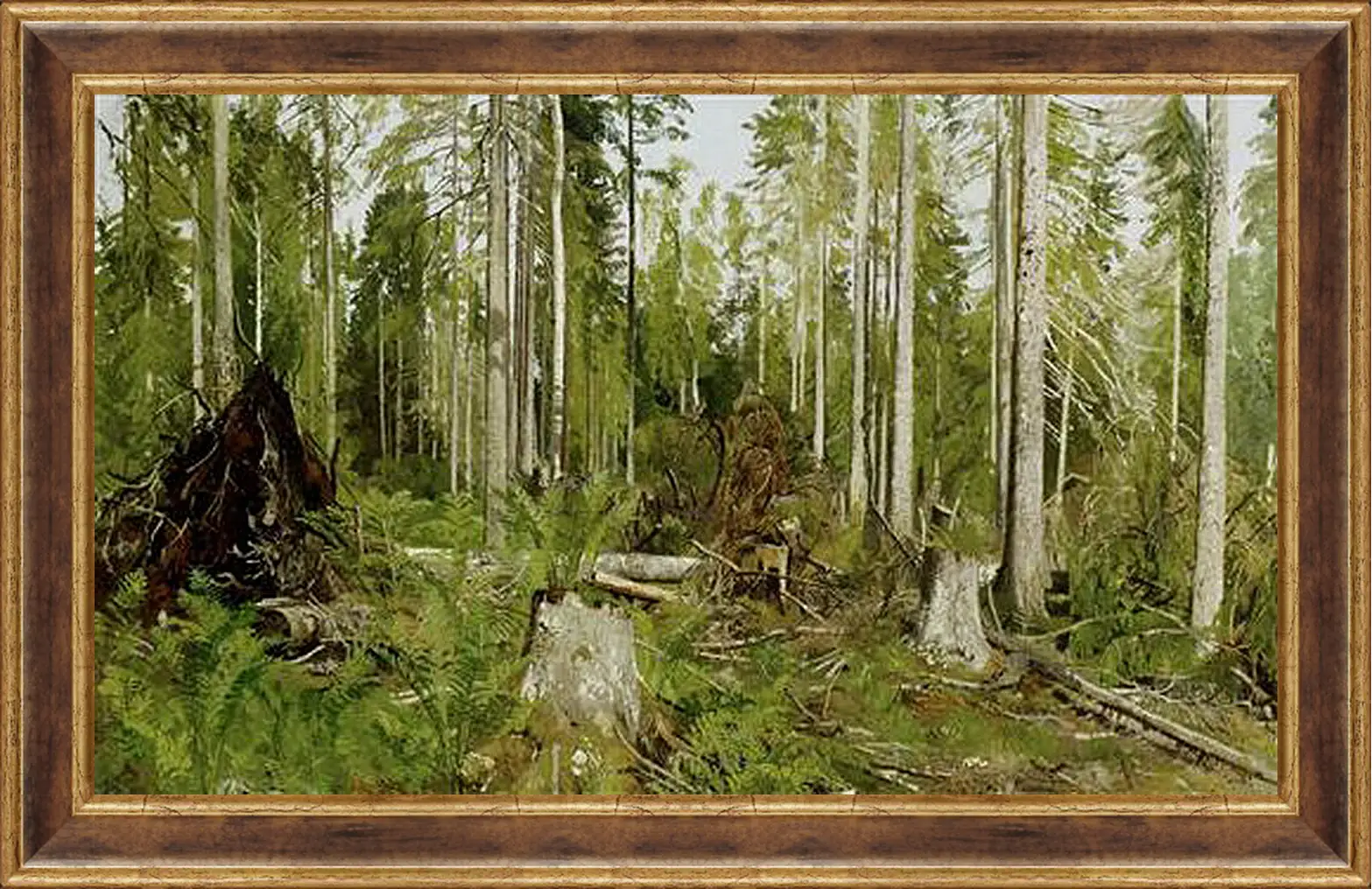 Картина в раме - Сосновый лес. Иван Шишкин