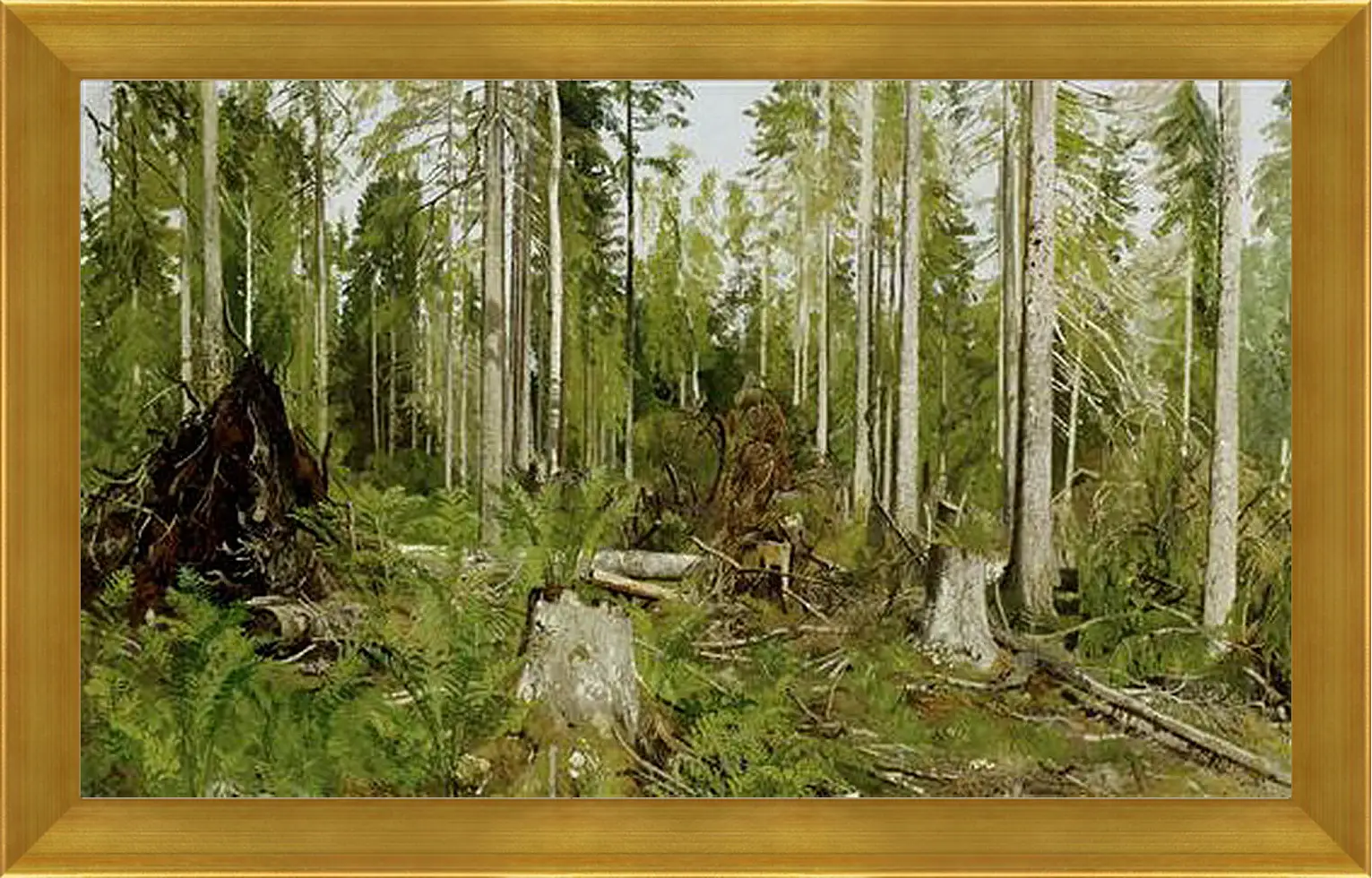 Картина в раме - Сосновый лес. Иван Шишкин