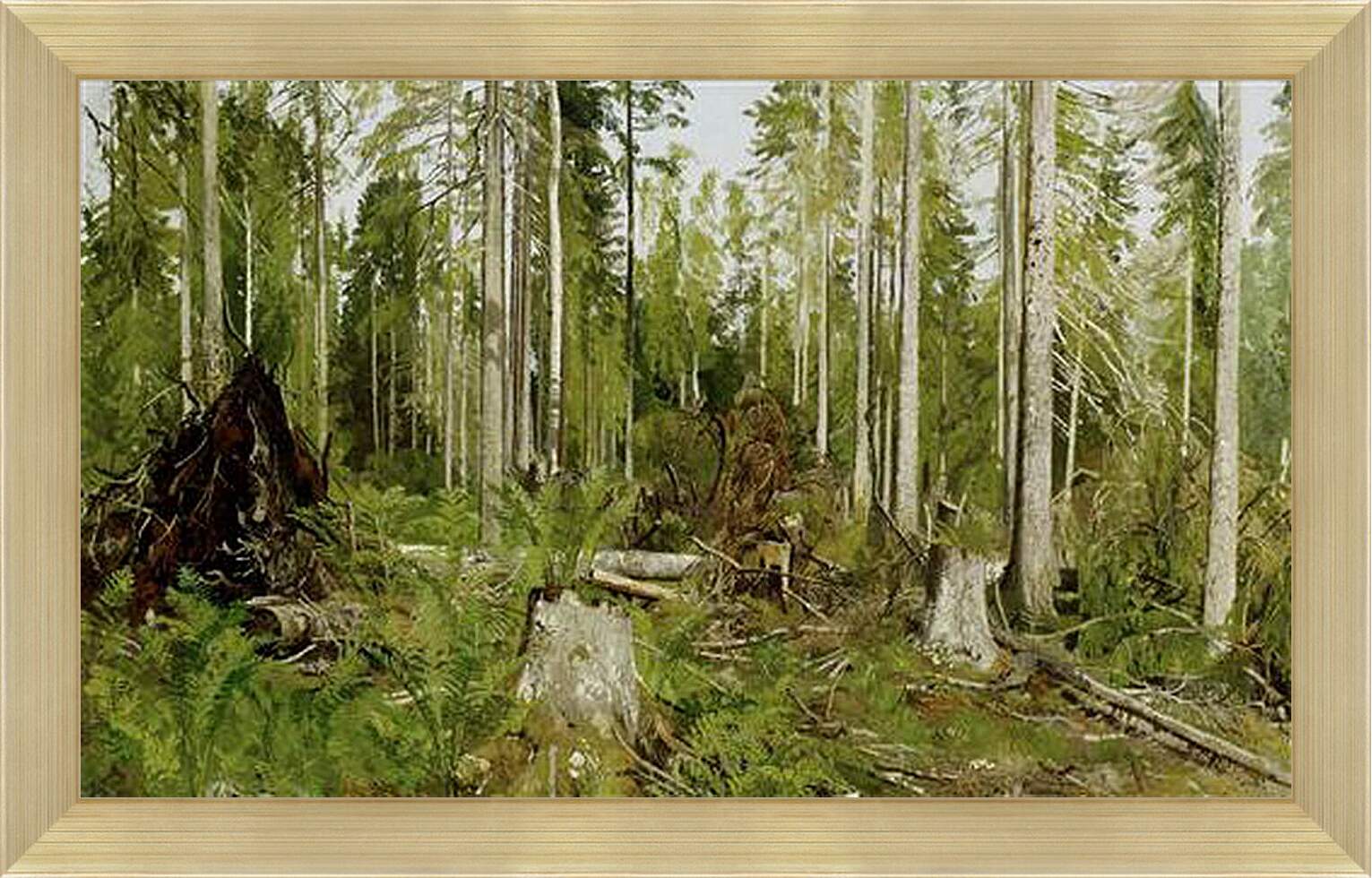 Картина в раме - Сосновый лес. Иван Шишкин
