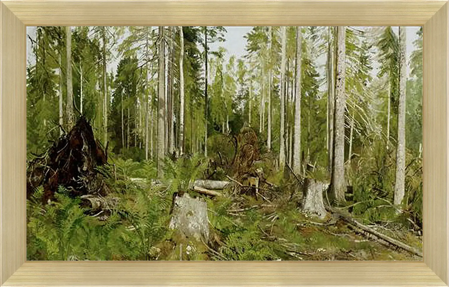 Картина в раме - Сосновый лес. Иван Шишкин