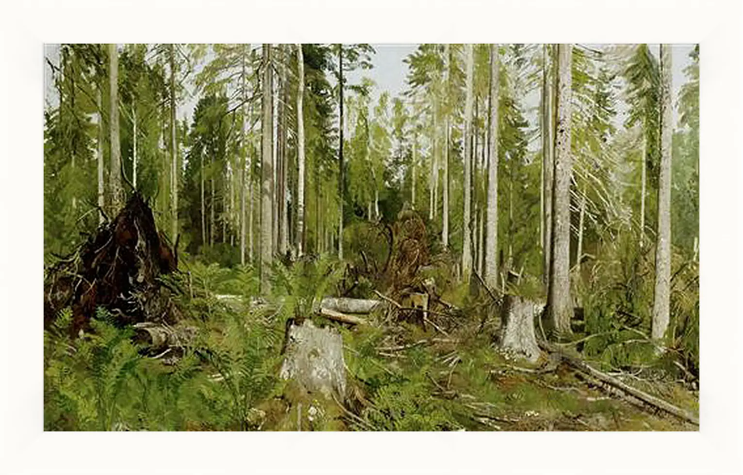 Картина в раме - Сосновый лес. Иван Шишкин