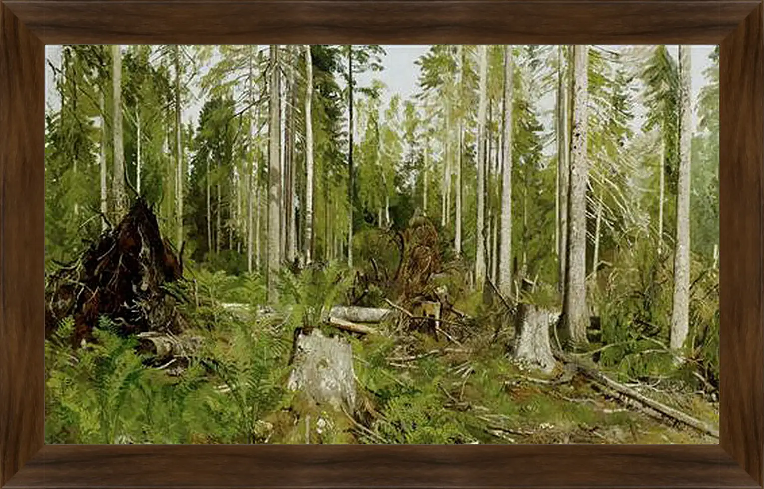 Картина в раме - Сосновый лес. Иван Шишкин