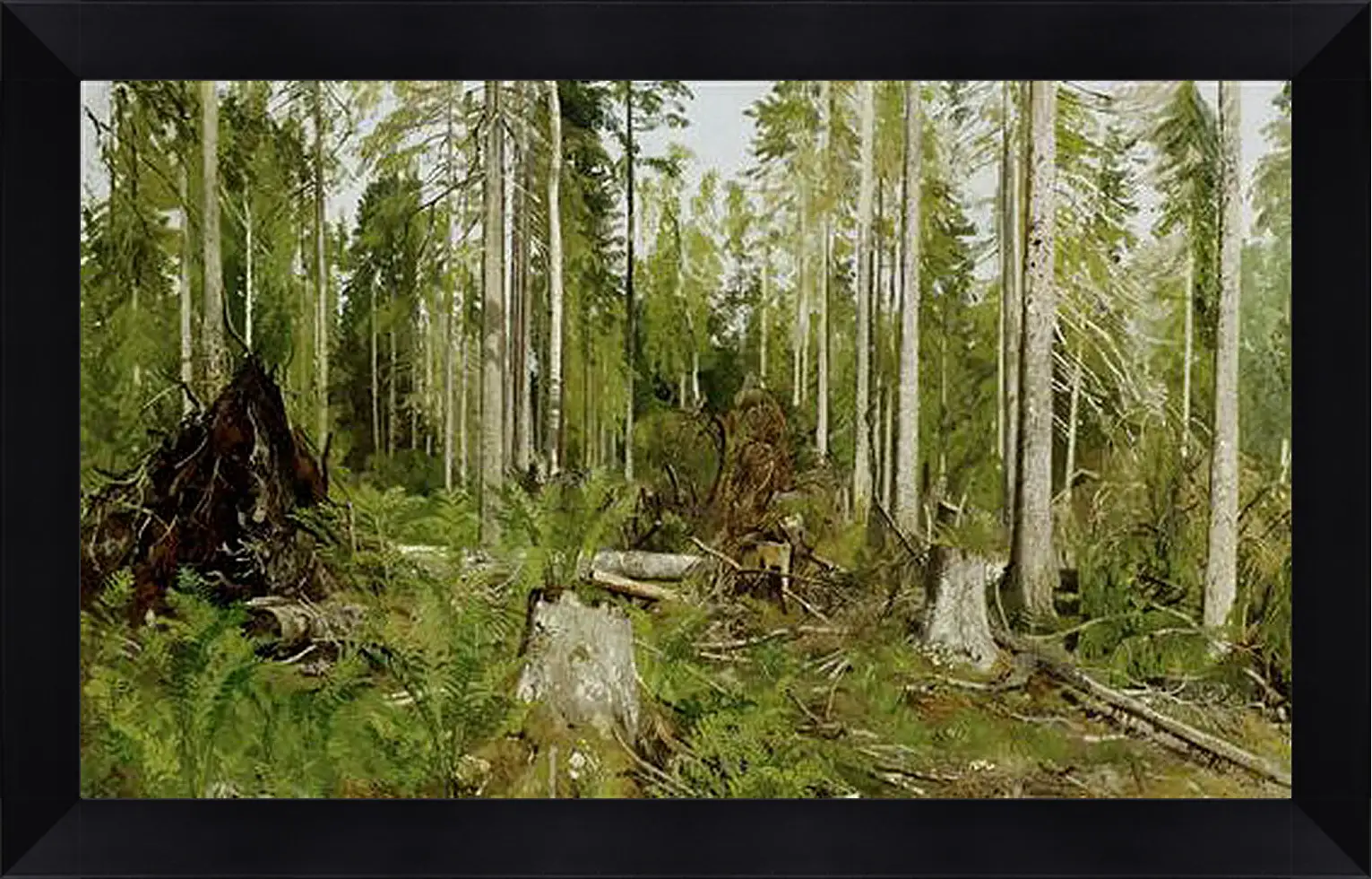 Картина в раме - Сосновый лес. Иван Шишкин