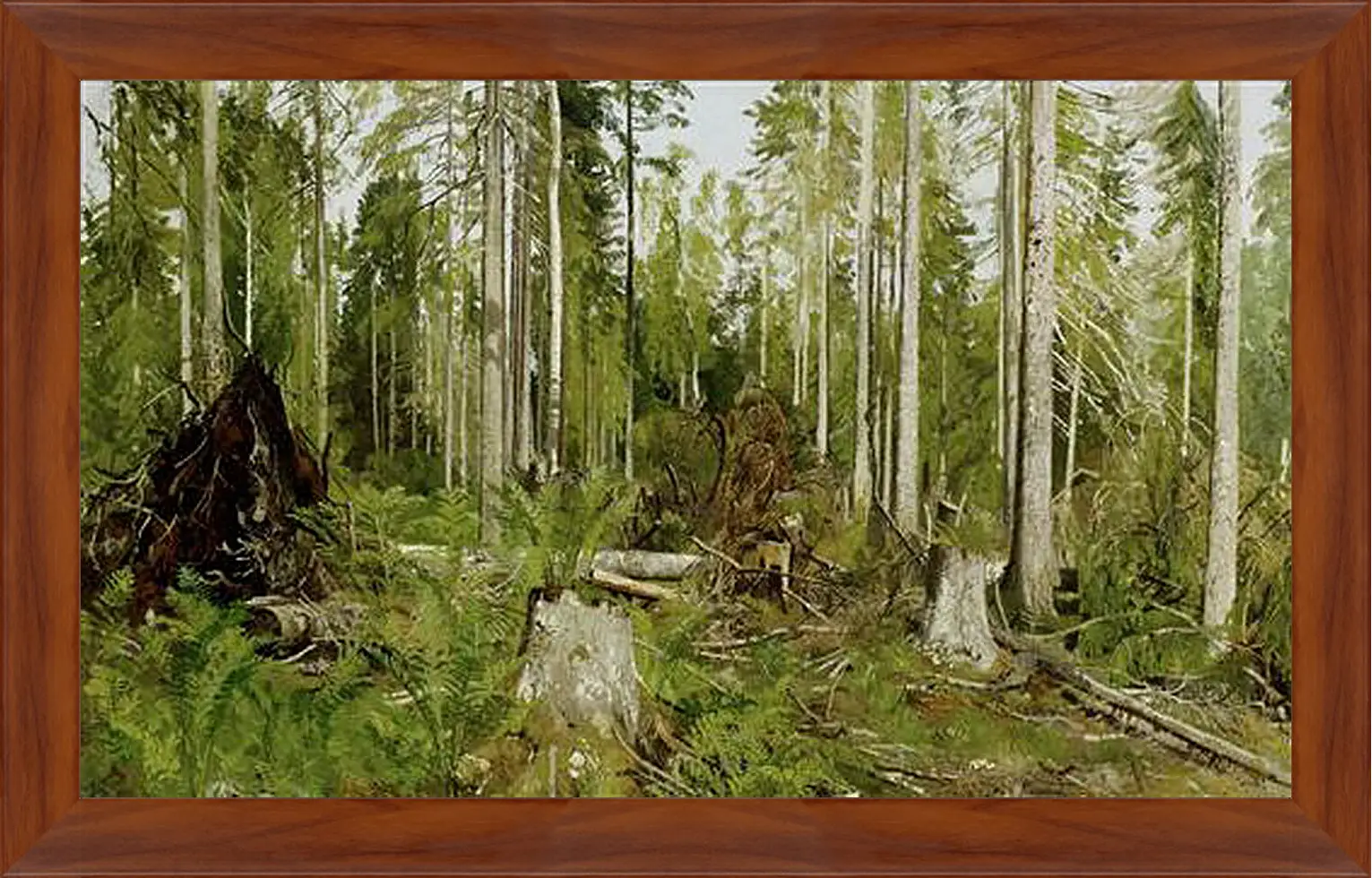 Картина в раме - Сосновый лес. Иван Шишкин