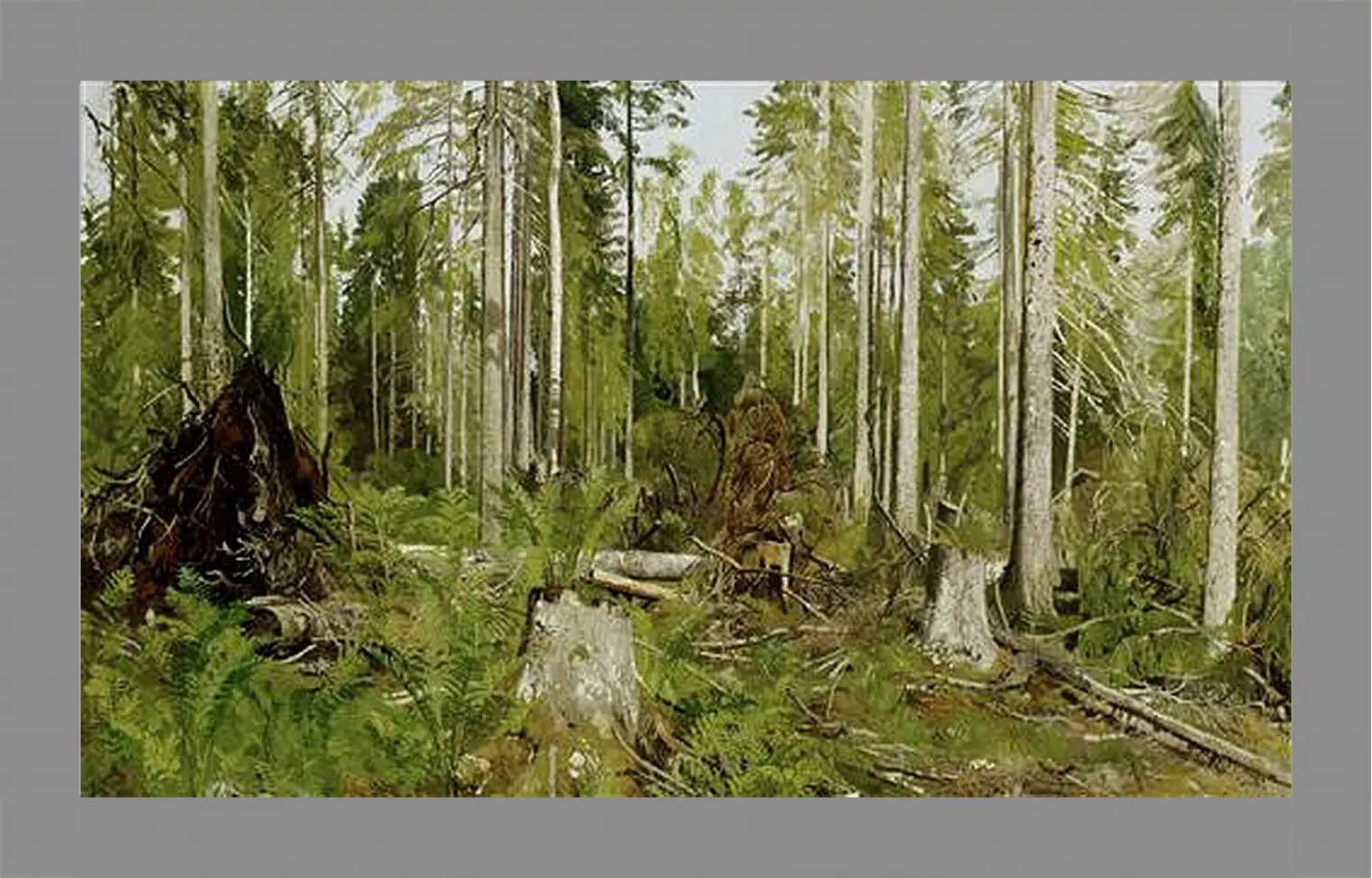 Картина в раме - Сосновый лес. Иван Шишкин