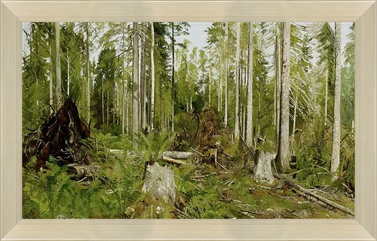 Картина в раме - Сосновый лес. Иван Шишкин