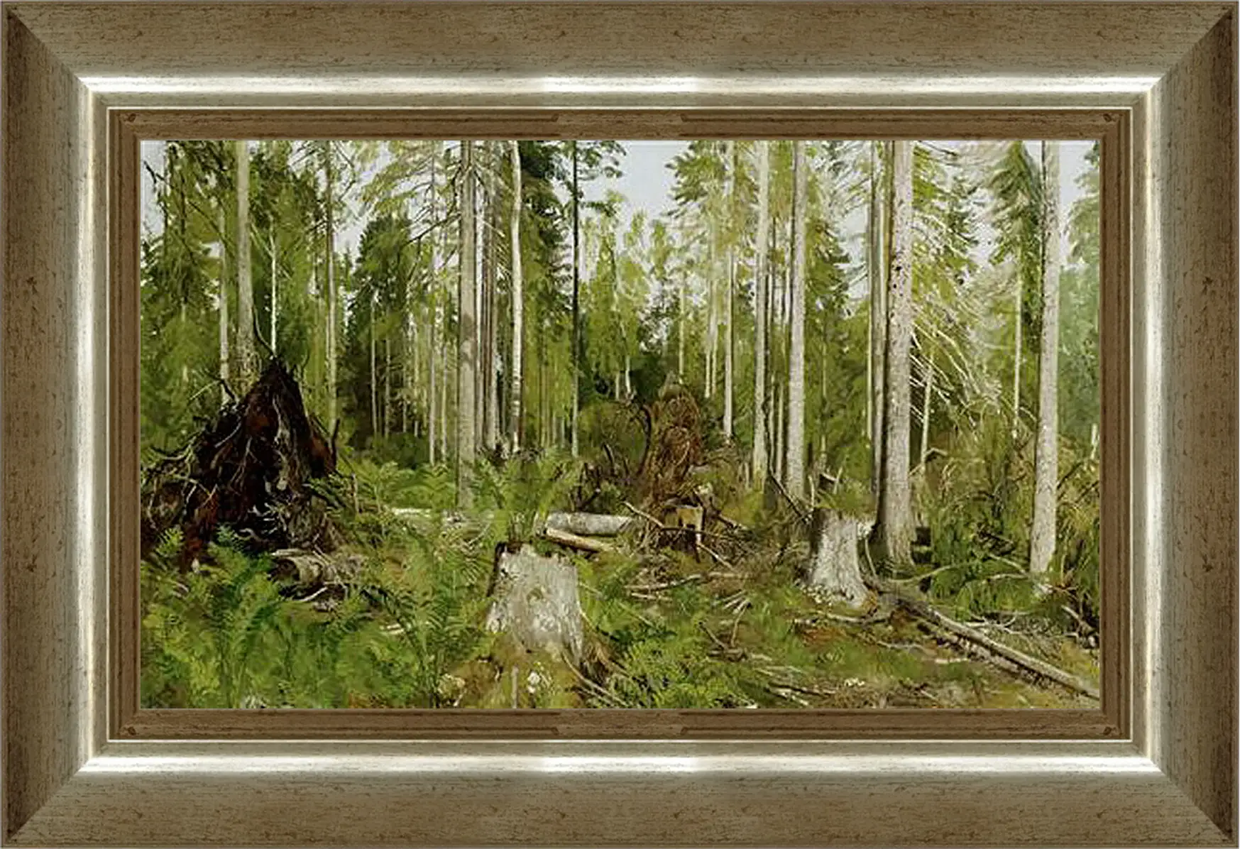 Картина в раме - Сосновый лес. Иван Шишкин