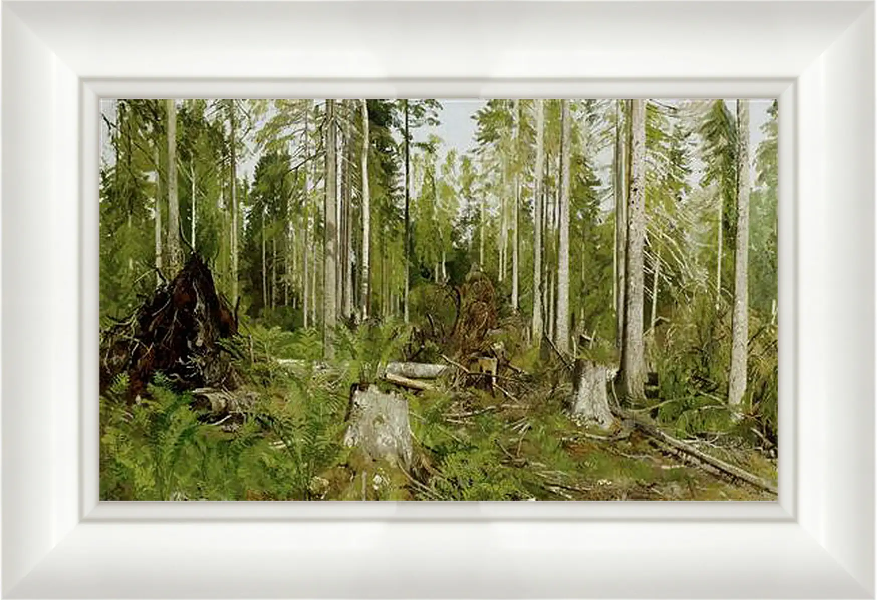 Картина в раме - Сосновый лес. Иван Шишкин
