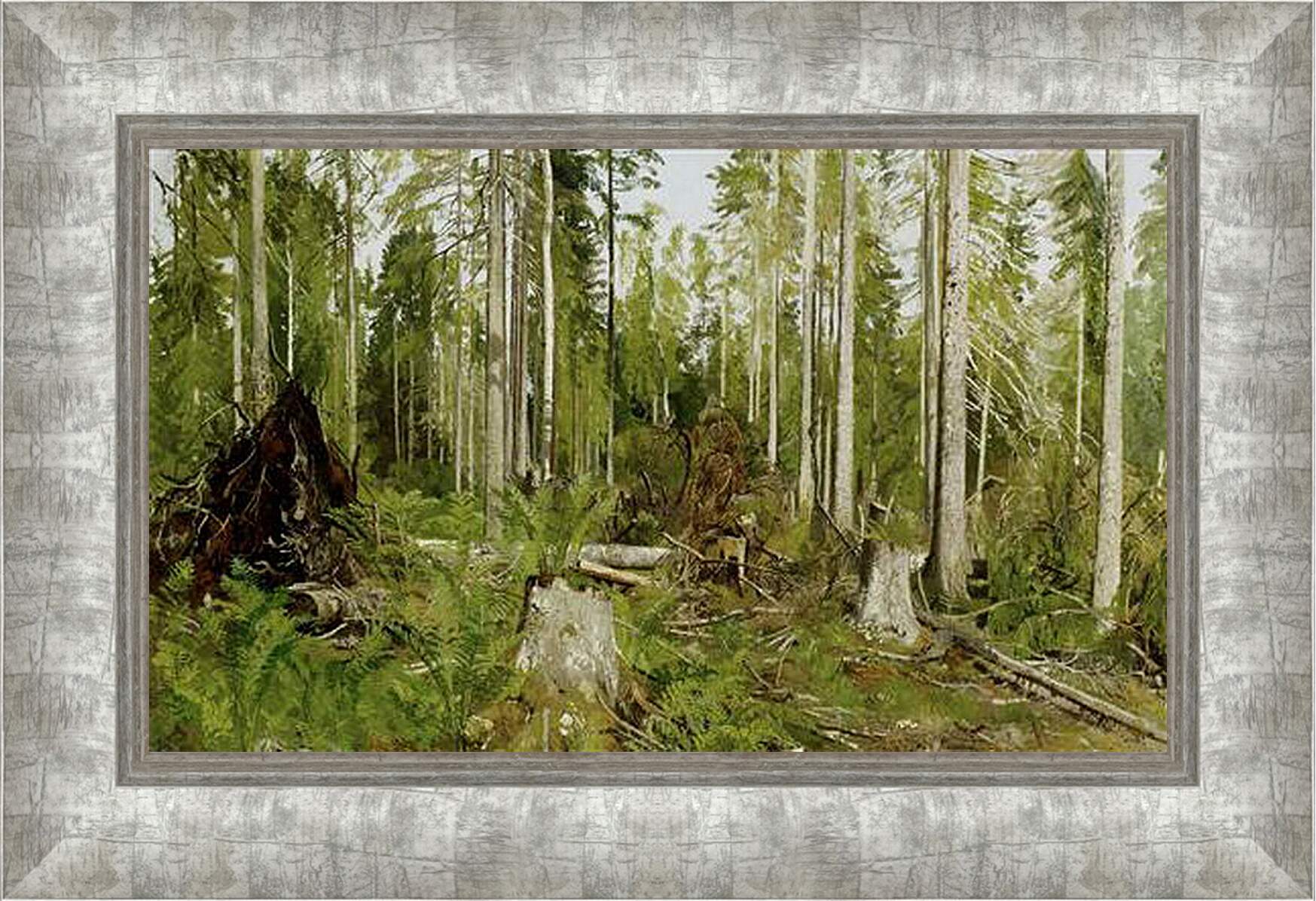 Картина в раме - Сосновый лес. Иван Шишкин

