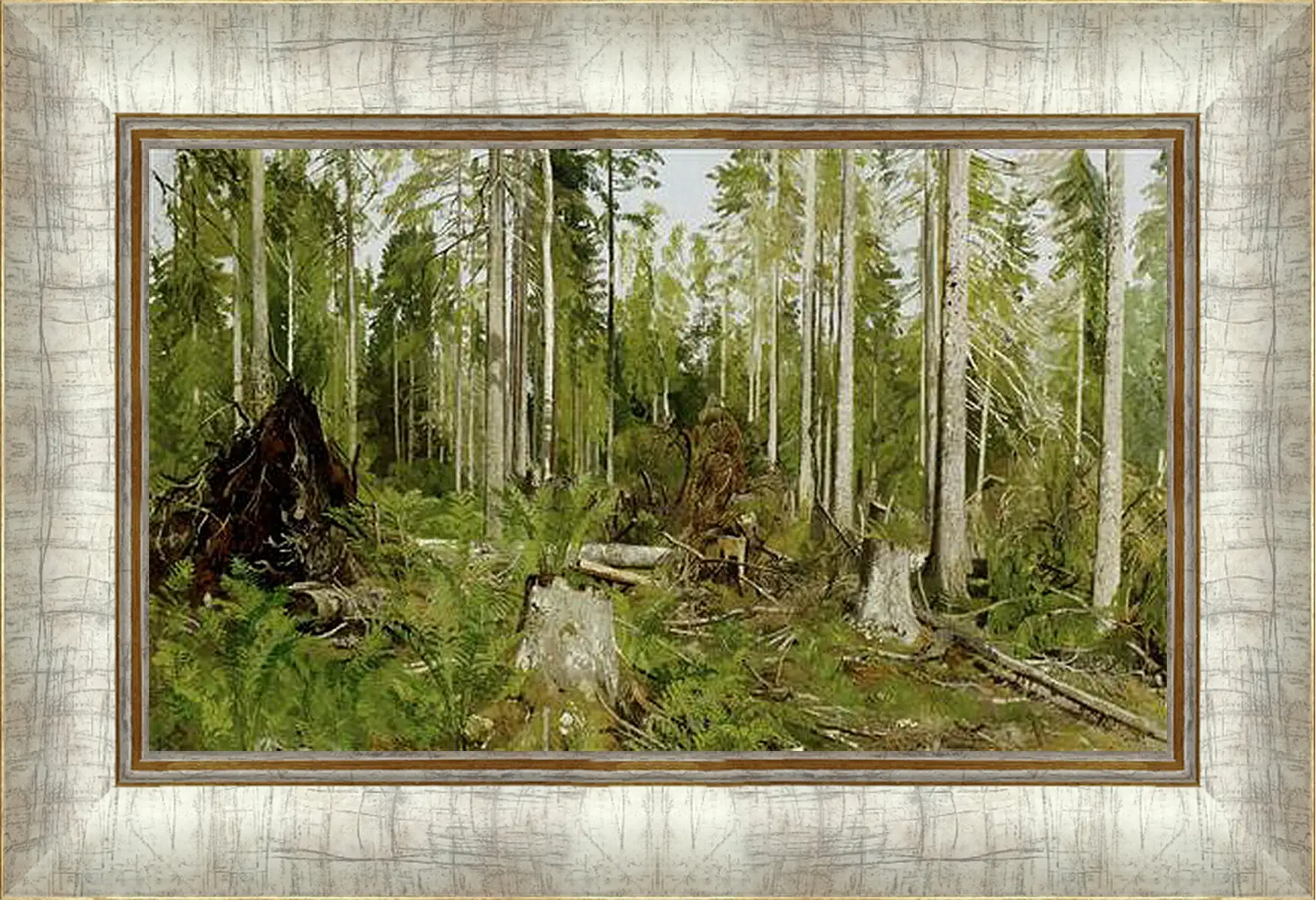 Картина в раме - Сосновый лес. Иван Шишкин