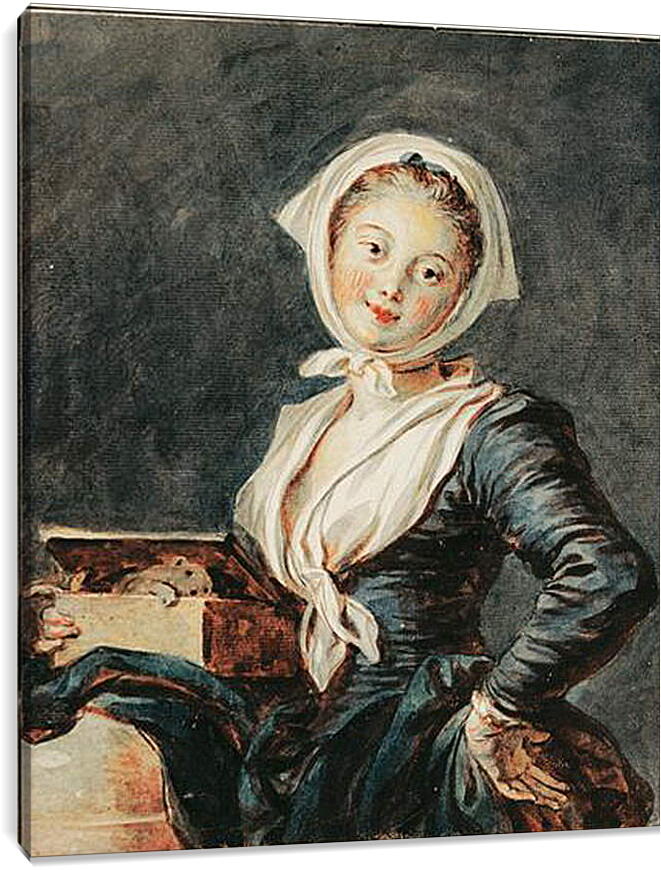 Постер и плакат - Девушка с сурком. Жан Оноре Фрагонар
