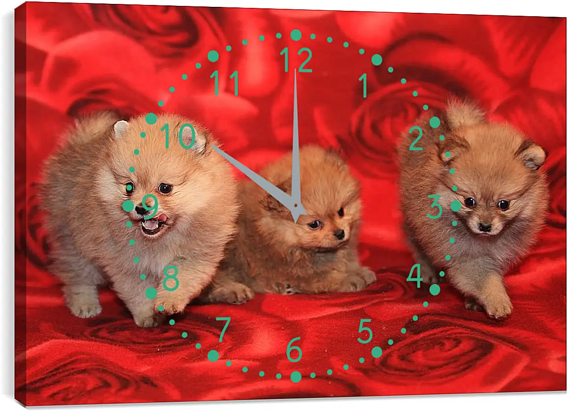 Часы картина - Щенки шпица