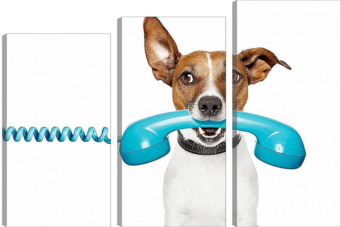 Модульная картина - Собака с телефоном